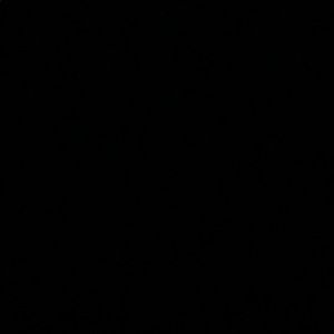 Meet your Posher, Frank